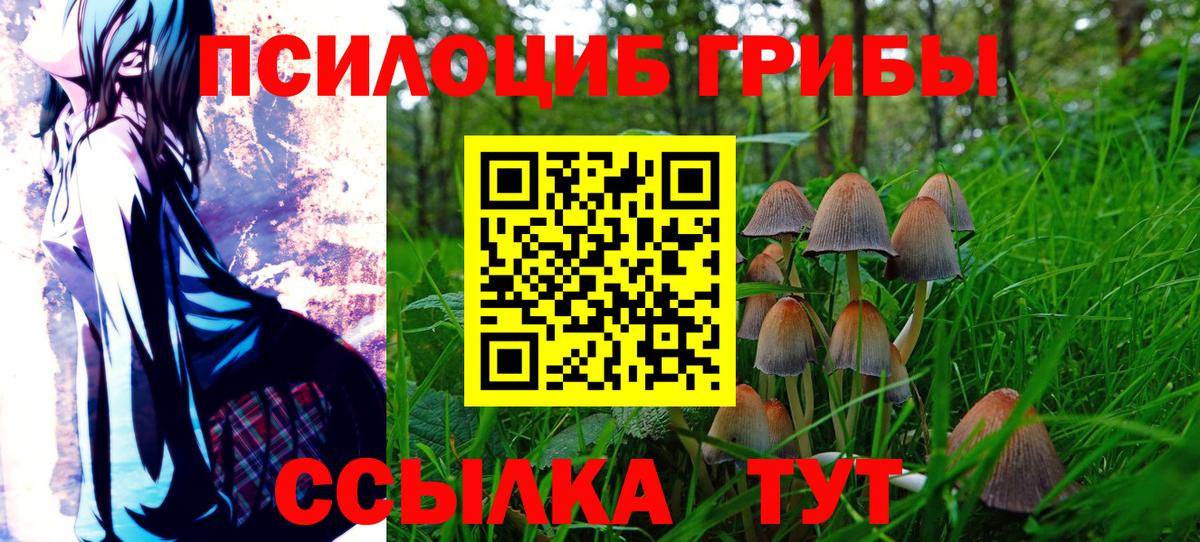 Галлюциногенные грибы ЛСД  Галлюциногенные грибы GOLDEN TEACHER  Новосибирск  Вход с VPN 