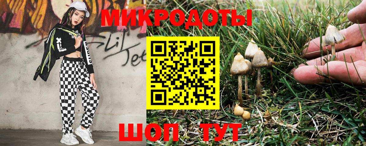 Псилоцибиновые грибы Psilocybine cubensis Новосибирск
