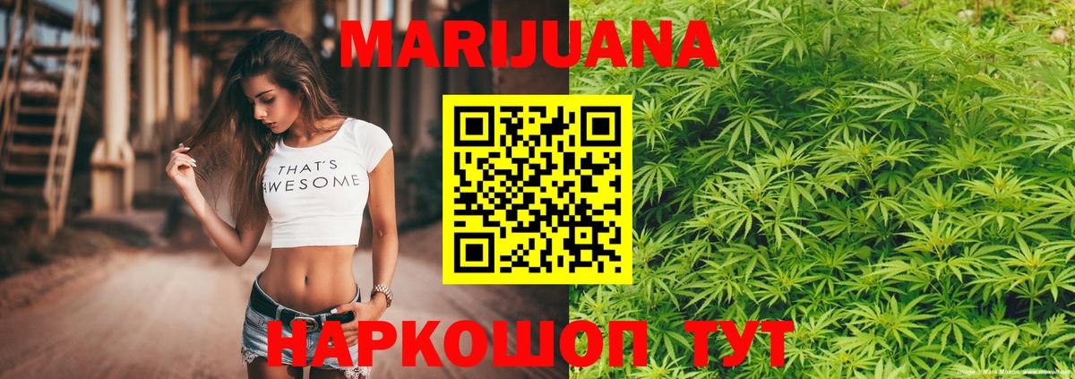 Бошки Шишки семена  Бошки Шишки MAZAR  Вход с VPN  Конопля THC 21%  Новосибирск 